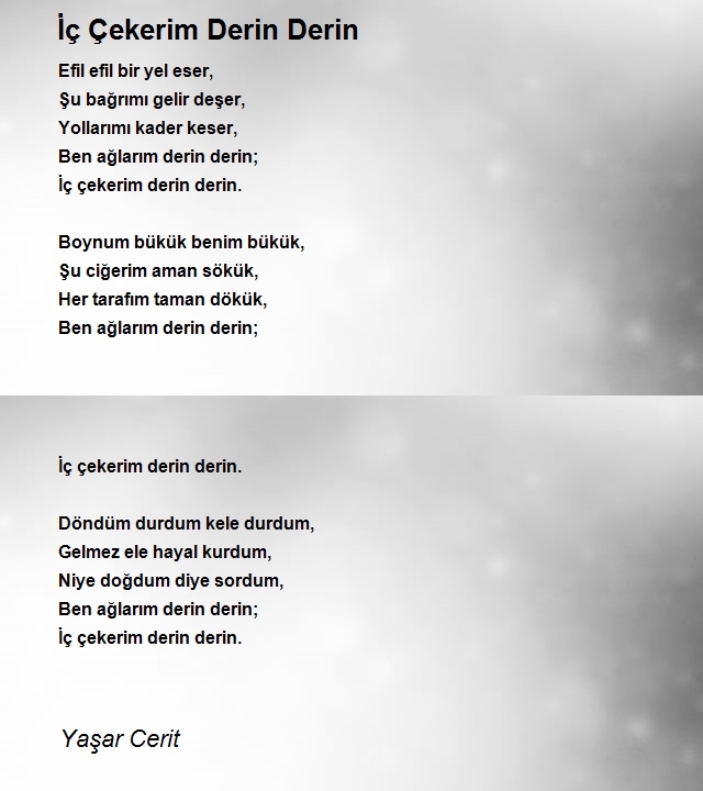 Yaşar Cerit