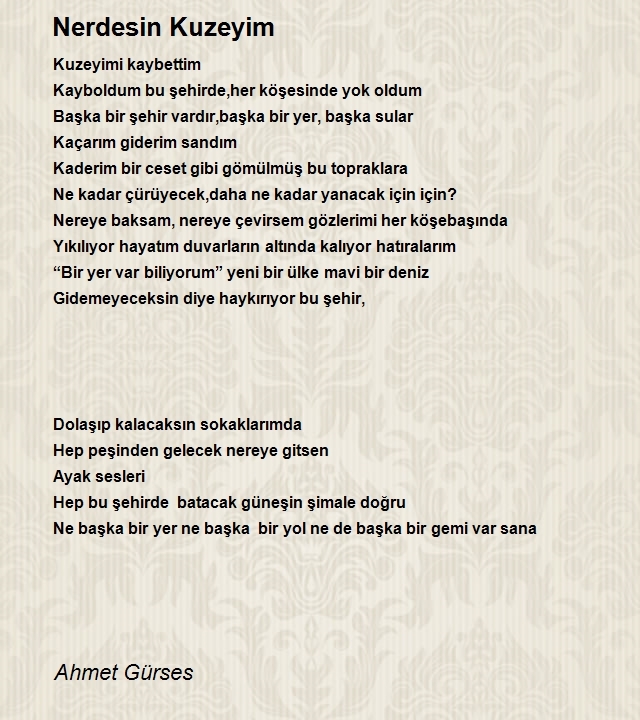 Ahmet Gürses