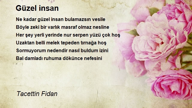 Tacettin Fidan