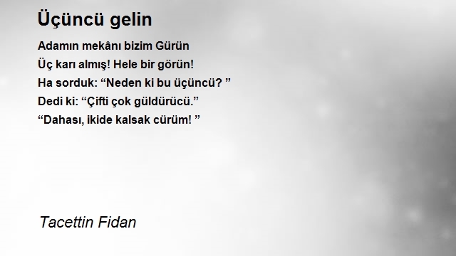 Tacettin Fidan