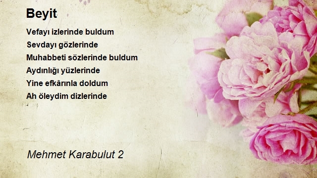 Mehmet Karabulut 2