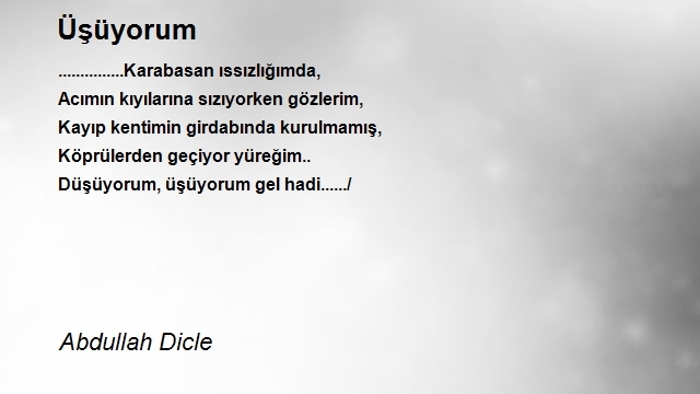 Abdullah Dicle