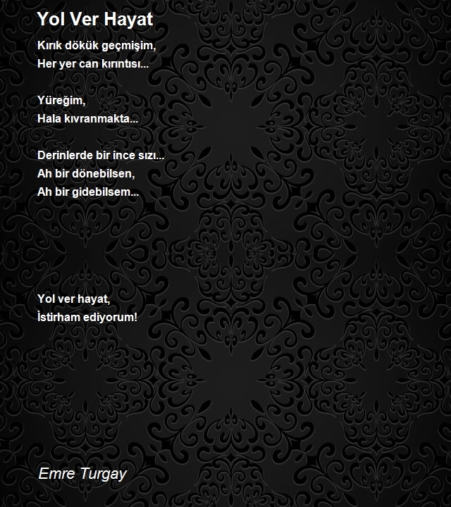 Emre Turgay