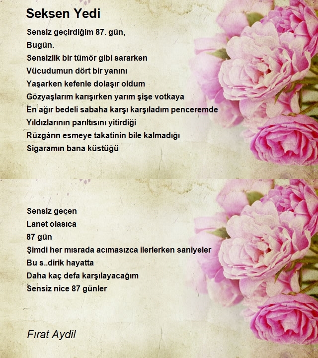 Fırat Aydil