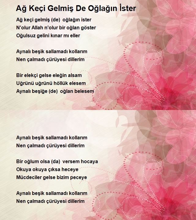 Aysel Sezer