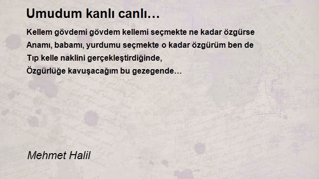 Mehmet Halil