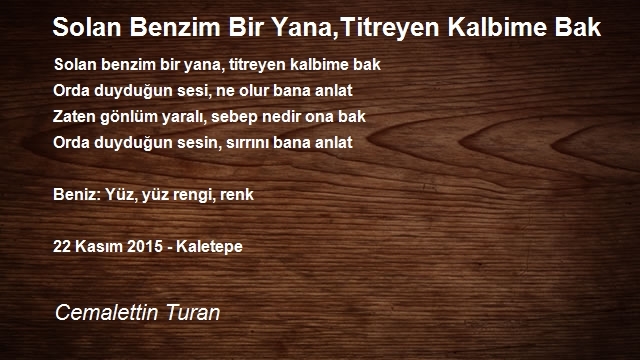 Cemalettin Turan