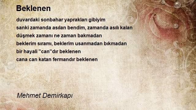 Mehmet Demirkapı