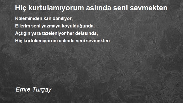 Emre Turgay