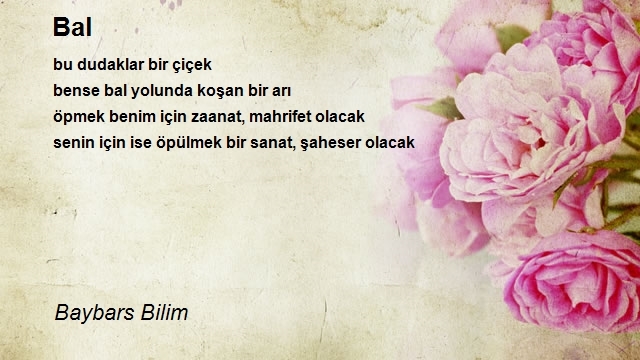 Baybars Bilim