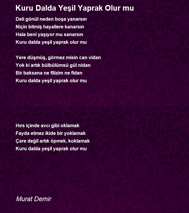 Murat Demir