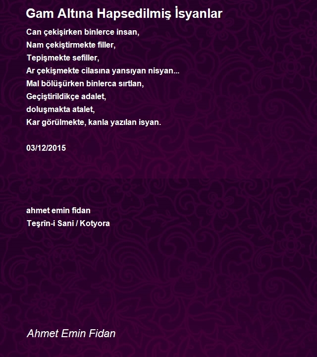 Ahmet Emin Fidan