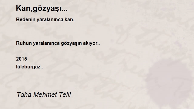 Taha Mehmet Telli