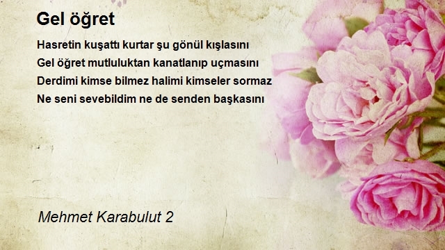 Mehmet Karabulut 2