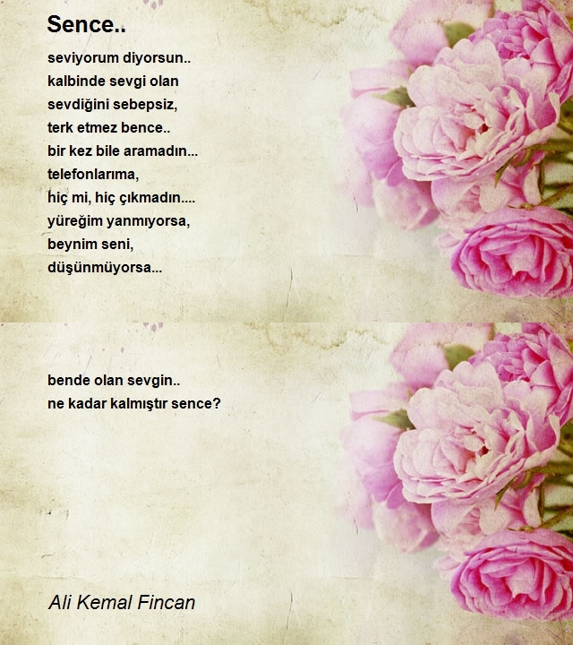 Ali Kemal Fincan