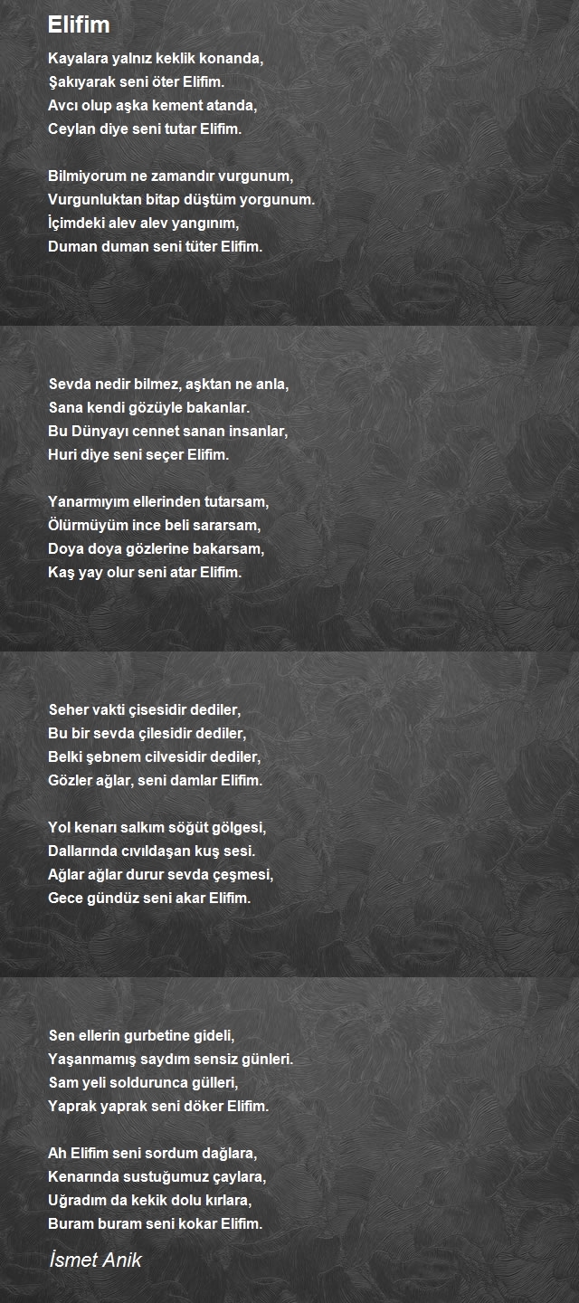 İsmet Anik