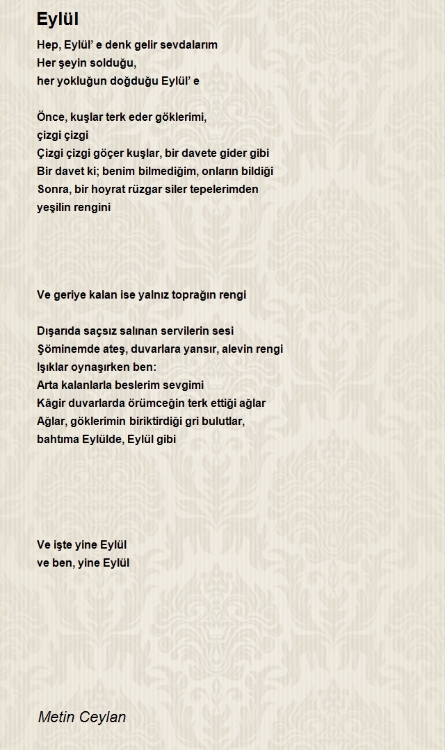 Metin Ceylan