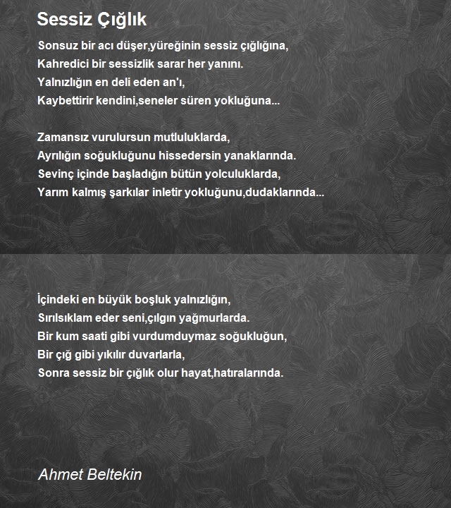 Ahmet Beltekin