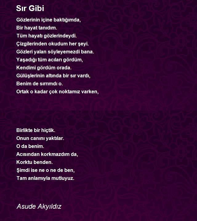 Asude Akyıldız