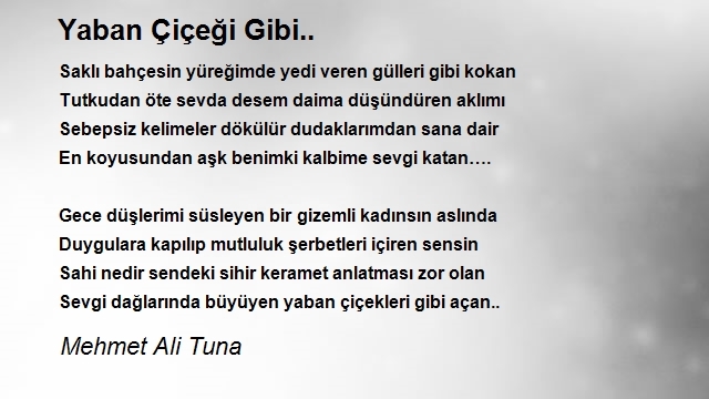 Mehmet Ali Tuna