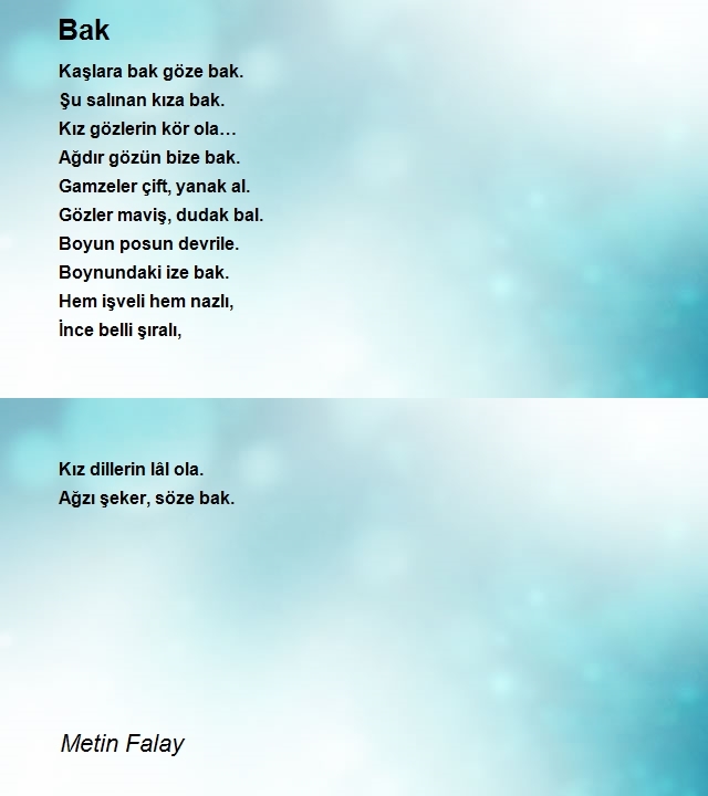 Metin Falay