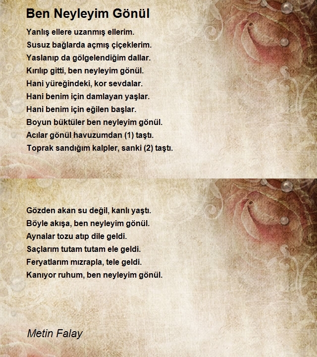 Metin Falay