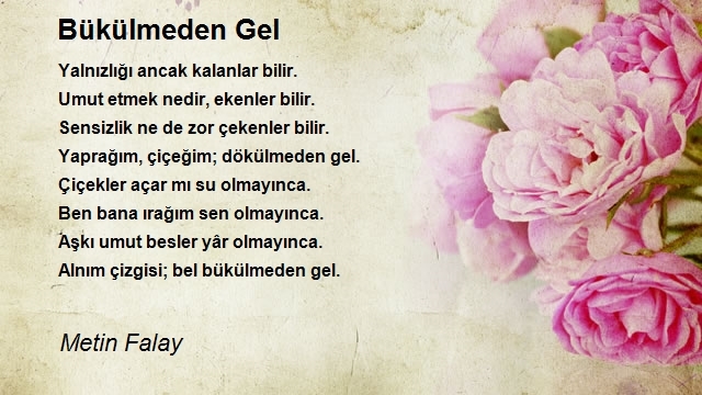 Metin Falay