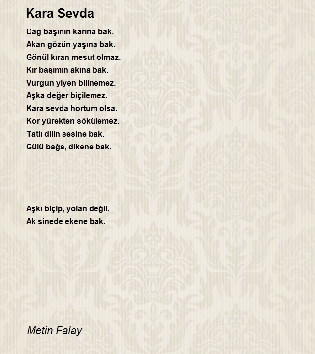 Metin Falay