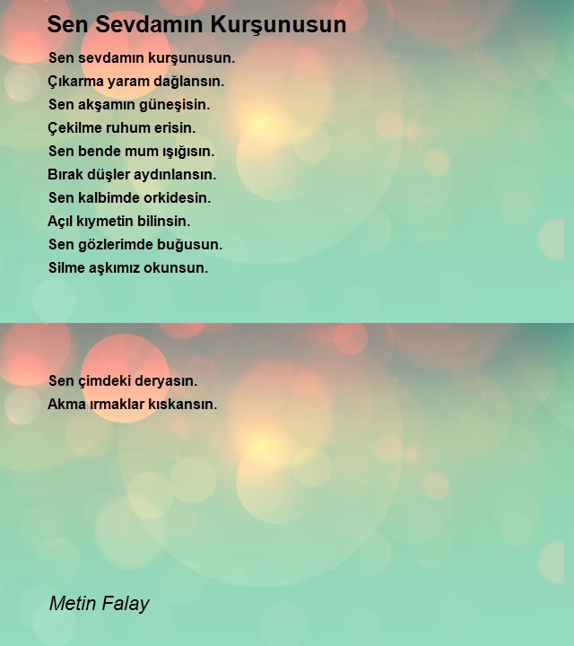 Metin Falay