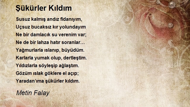 Metin Falay