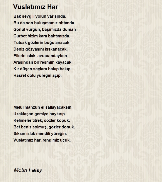 Metin Falay