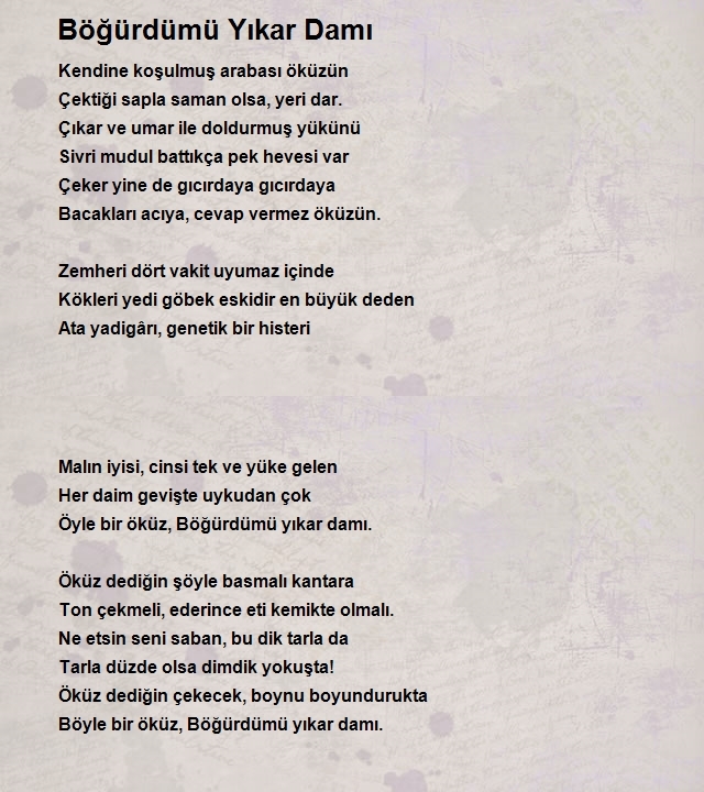 Altan İlhan Arslan