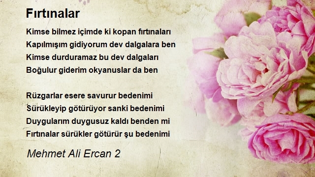 Mehmet Ali Ercan 2