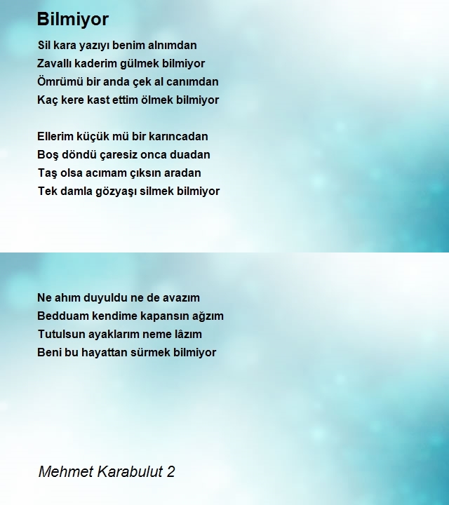 Mehmet Karabulut 2