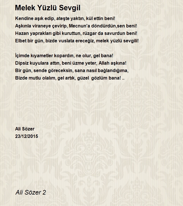 Ali Sözer 2