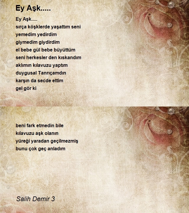 Salih Demir 3