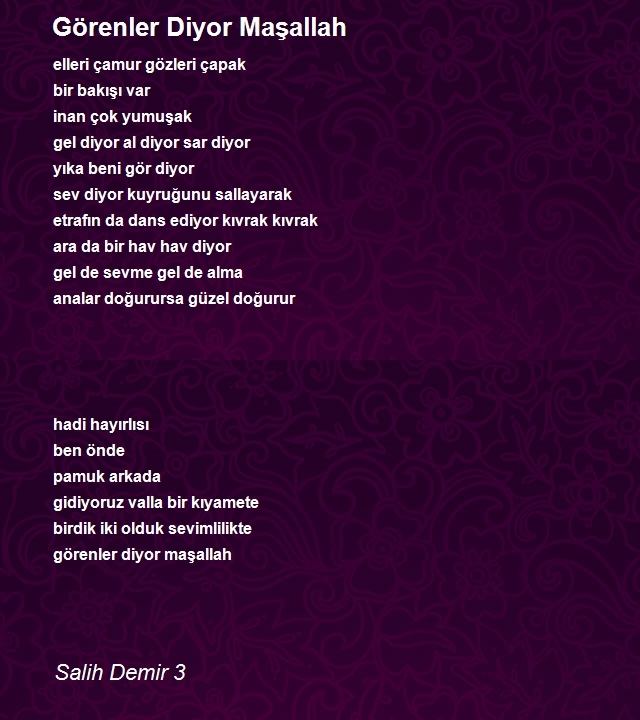 Salih Demir 3