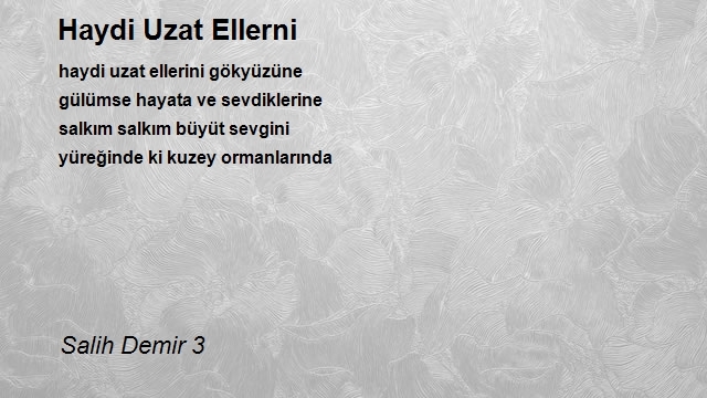 Salih Demir 3