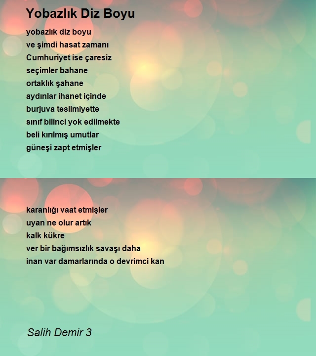 Salih Demir 3