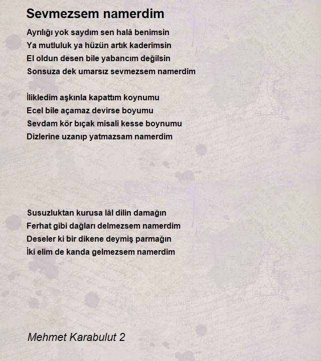 Mehmet Karabulut 2