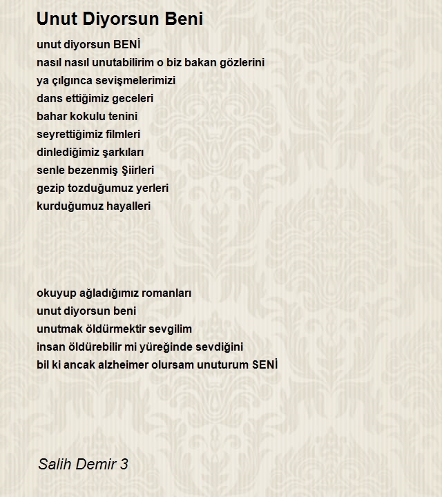 Salih Demir 3