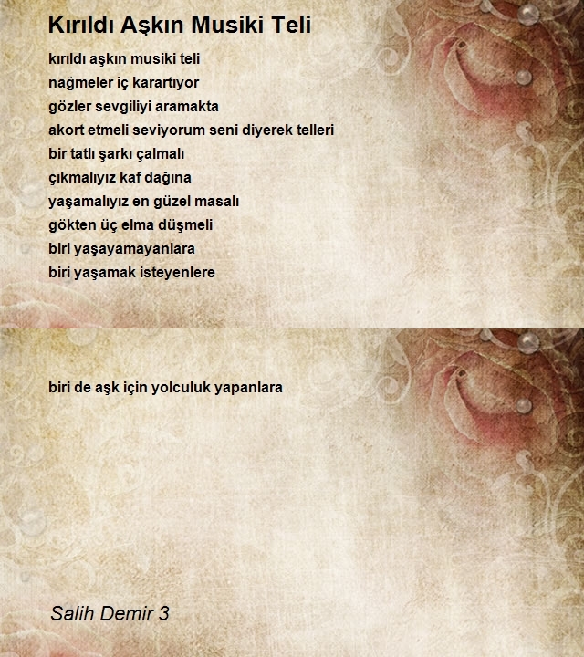 Salih Demir 3