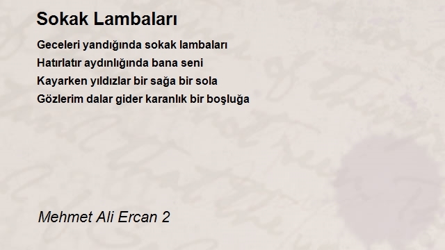 Mehmet Ali Ercan 2