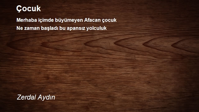 Zerdal Aydın