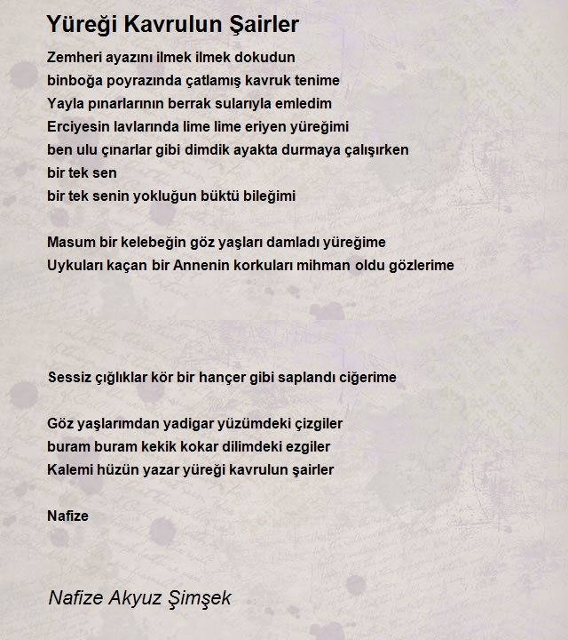 Nafize Akyuz Şimşek