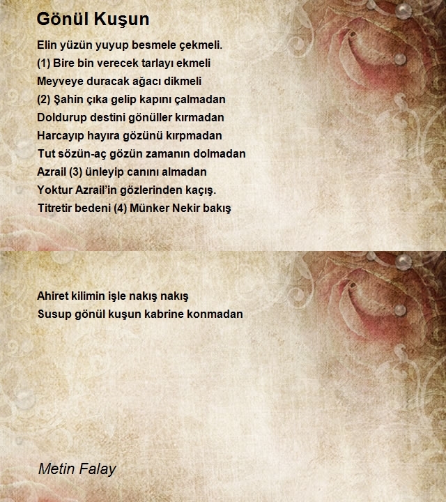 Metin Falay