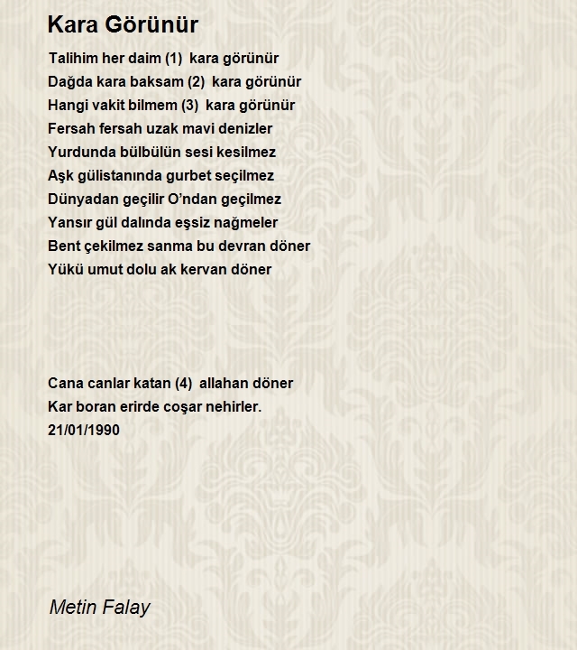 Metin Falay