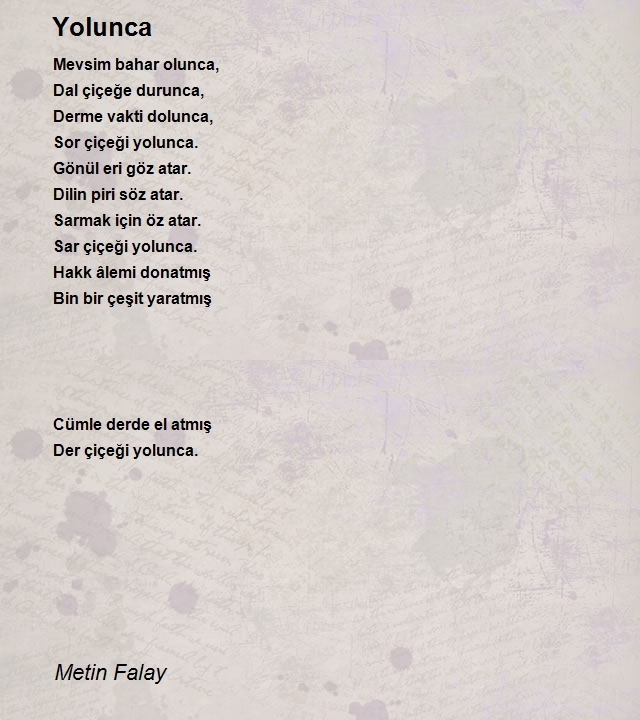 Metin Falay