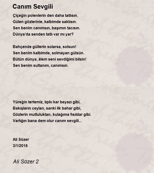 Ali Sözer 2