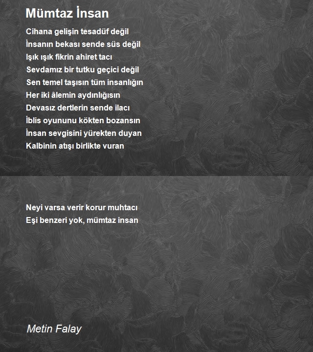 Metin Falay